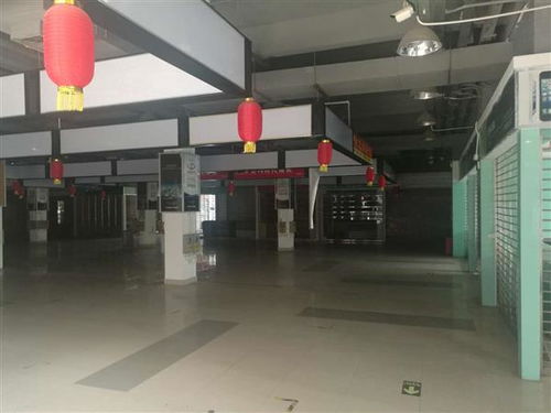 河源市廠房安全檢測鑒定機構(gòu) 創(chuàng)新技術(shù)指導(dǎo)助力企業(yè)安全生產(chǎn)，筑牢工業(yè)發(fā)展基石